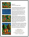 Church Stock Image CD Artist Notes